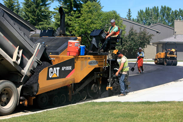 Best Driveway Paving Contractor  in Sealy, TX